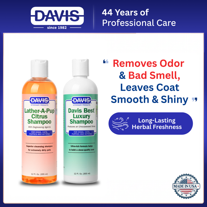 For Odor & Oily Skin | Best Luxury Combo