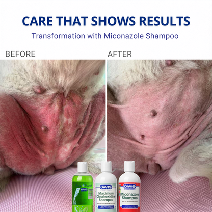 For Skin Infections | Medicated Shampoo Combo