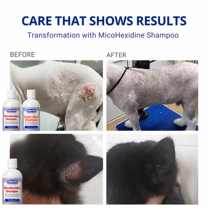 For Skin Infections | Medicated Shampoo Combo