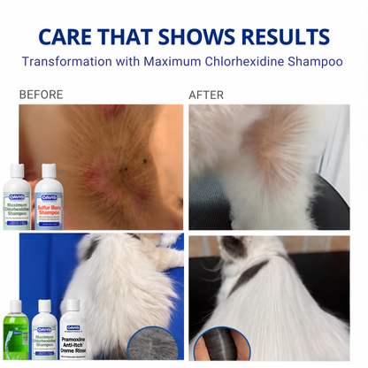 For Skin Infections | Medicated Shampoo Combo