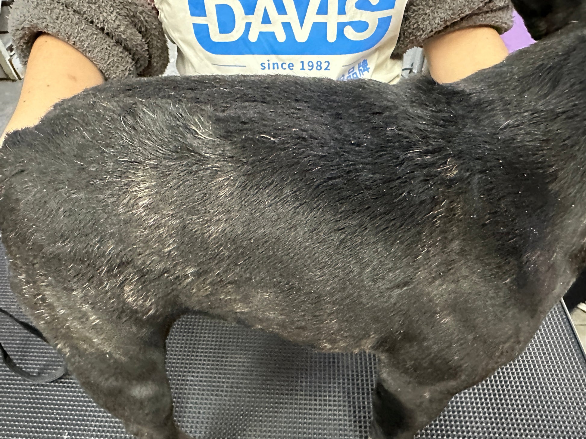 Dry skin before Davis Oatmeal Leave-On conditioner
